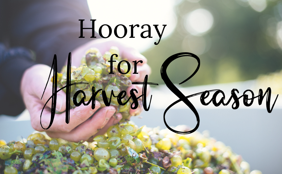 Hooray for harvest season