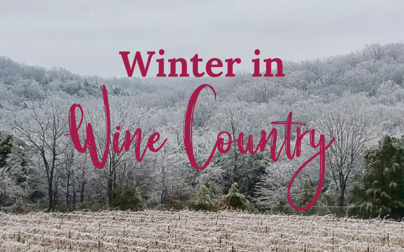 Winter in Wine Country