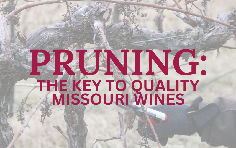 PRUNING: The key to quality missouri wines
