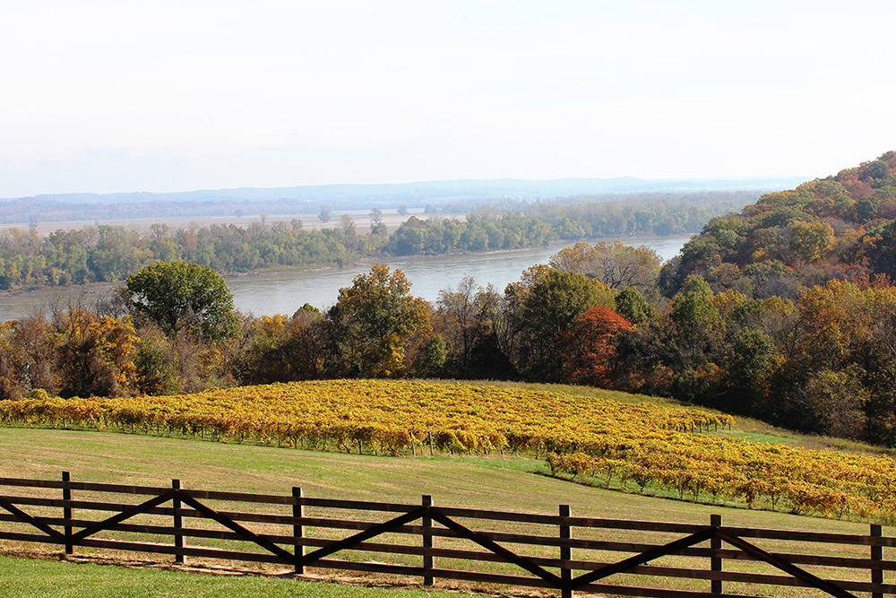 Oak Glenn Winery LLC- Sunny fall day with the river in the background and a wooden fence in front.