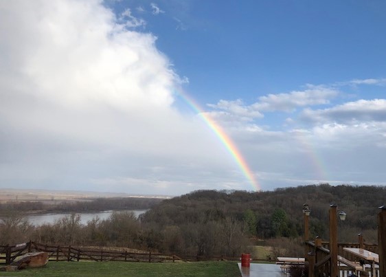 Oak Glenn Winery LLC- Shot from winery overlooking trees and a rainbow.