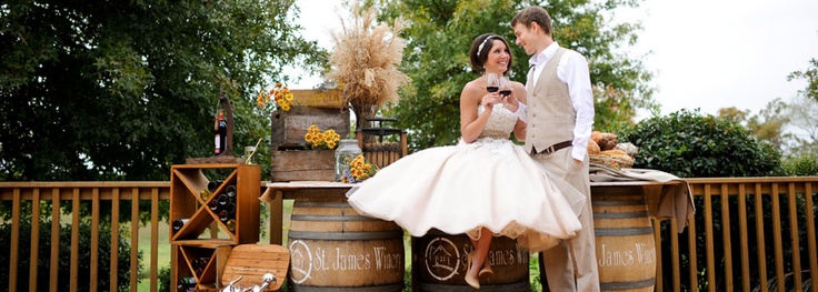 St. James Winery- Wedding photo of a couple toasting with glasses of red wine.