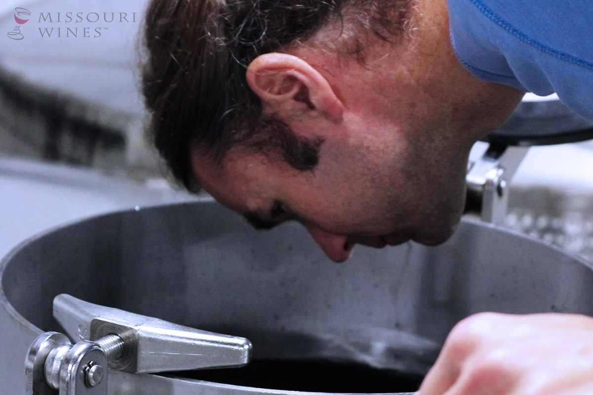 Winter Winemaking in Missouri | A winemaker takes a peek at wine in a large tank.