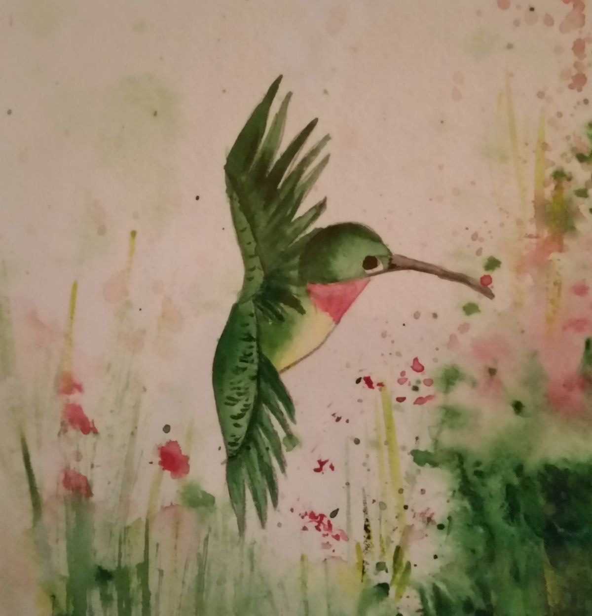 Hummingbird Painting on Dale Hollow Catawba