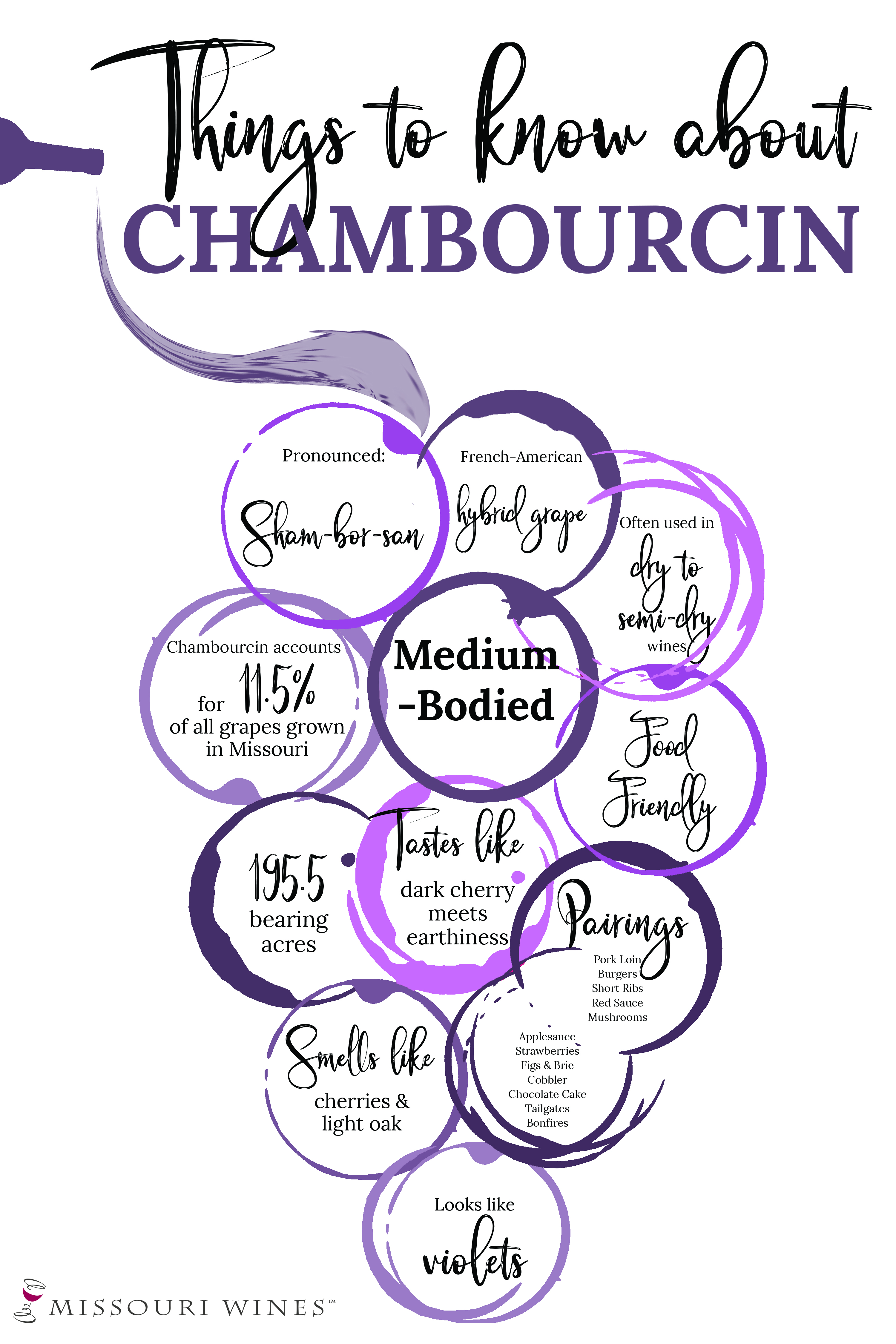 Chambourcin Infographic