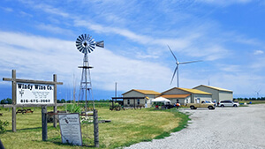 Windy Wine Company- Outdoor photo of winery with a windmill in front.