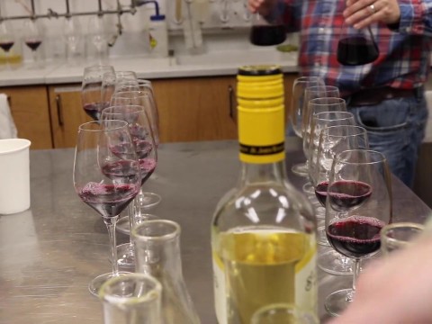 Wintertime Wine Blending at St. James Winery