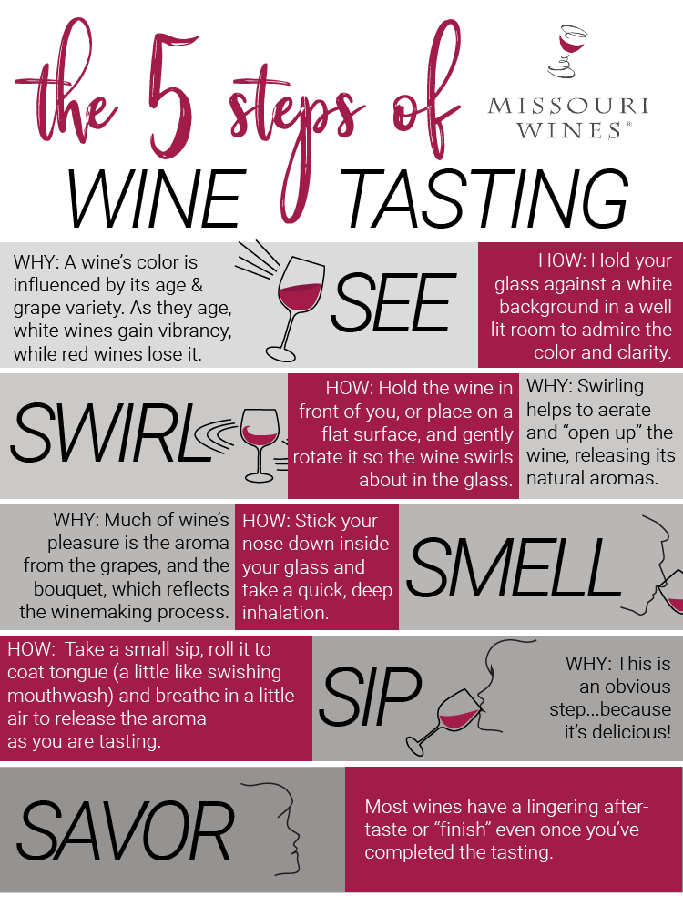 5 Steps of Wine Tasting