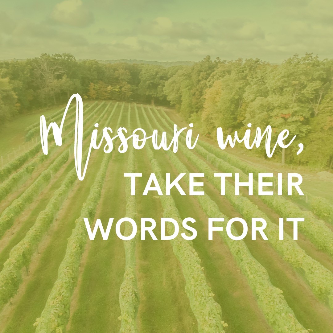 Vineyard Aerial Image Missouri Wine: Take Their Word for It