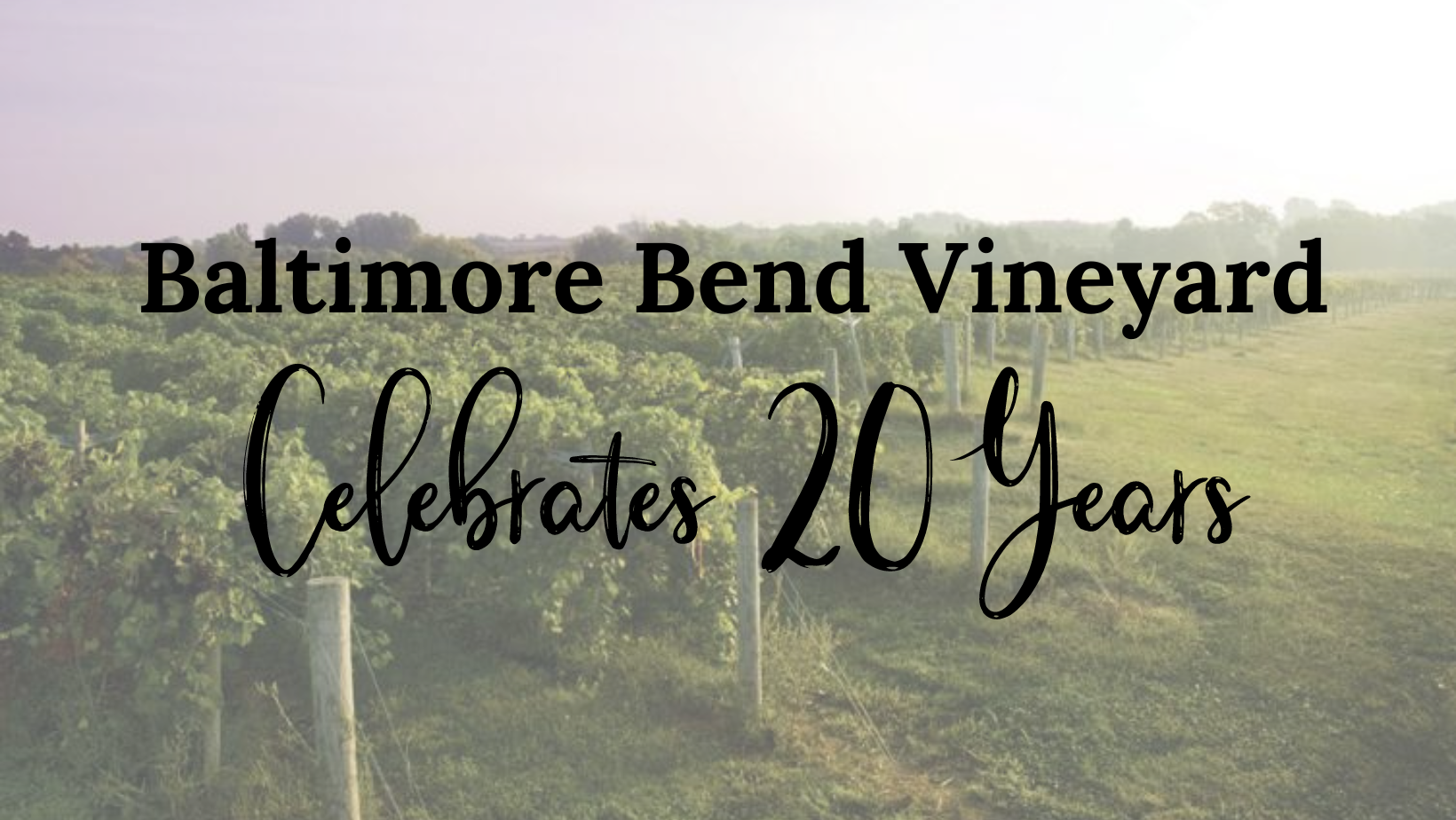 Baltimore Bend Vineyard Celebrates 20 Years