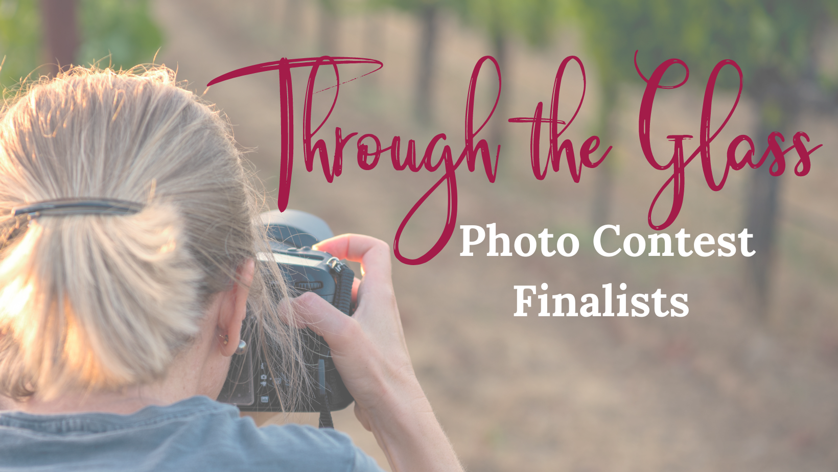 Through the Glass: Photo Contest Finalists