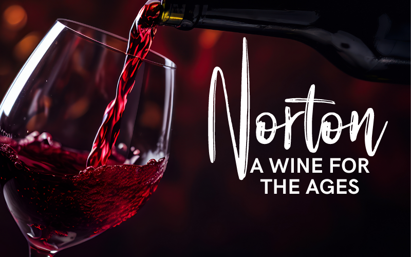 Norton - A Wine for The Ages