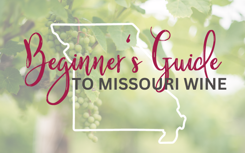 BEGINNERS GUIDE TO MO WINE