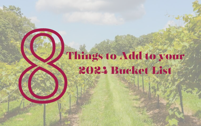 8 Things to Add to your 2024 Bucket List