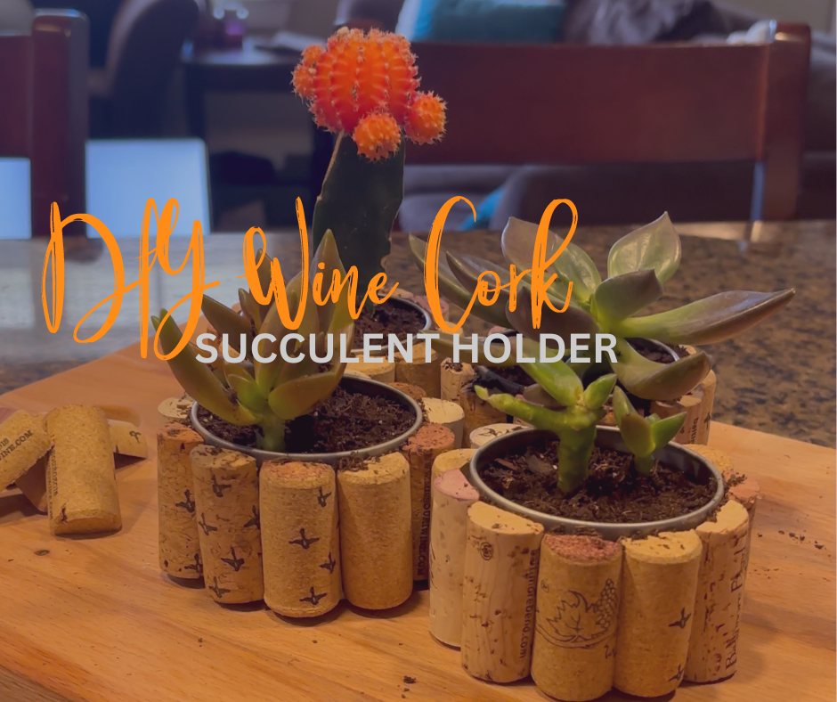 DIY Wine Cork Succulent