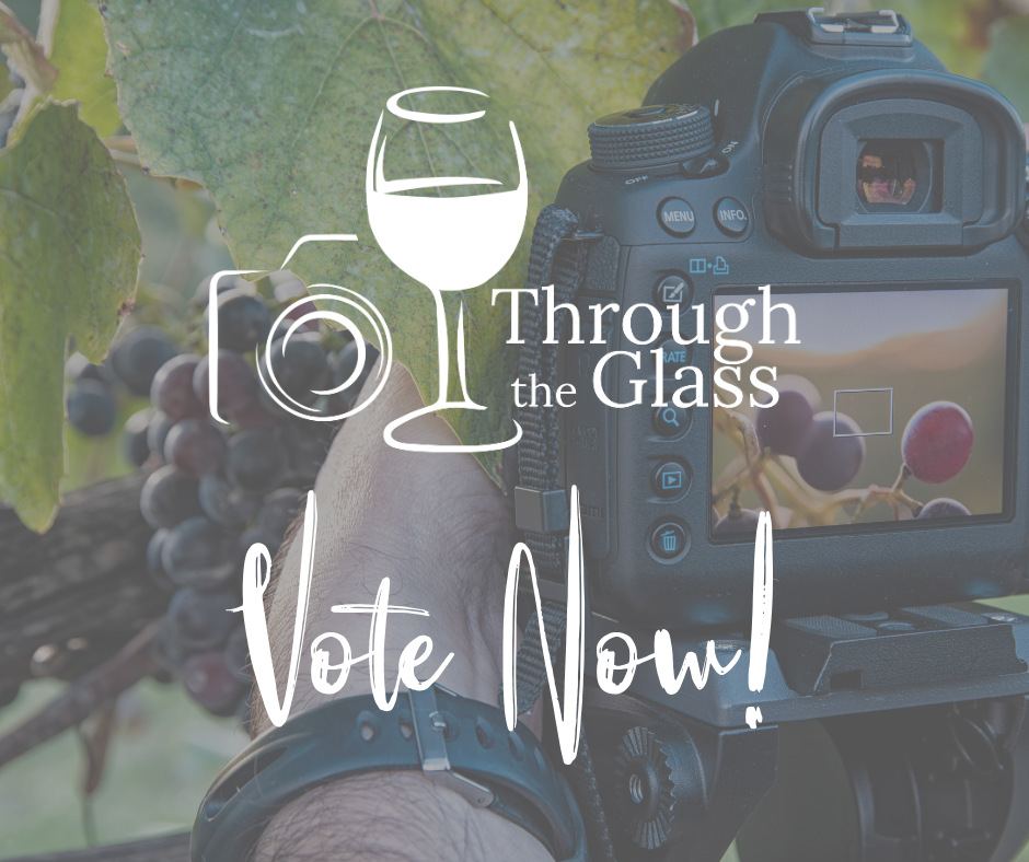 2025 Through the Glass Photo Contest Voting