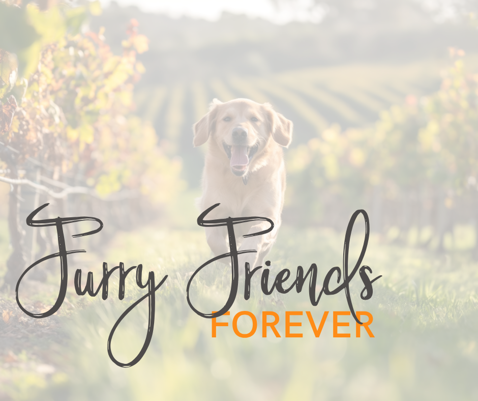 dog running through the vineyard with words over the top reading furry friends forever