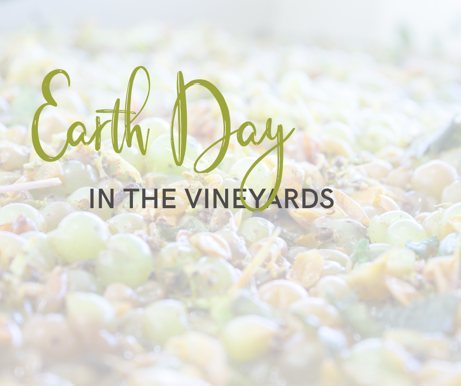 Earth Day in the Vineyards