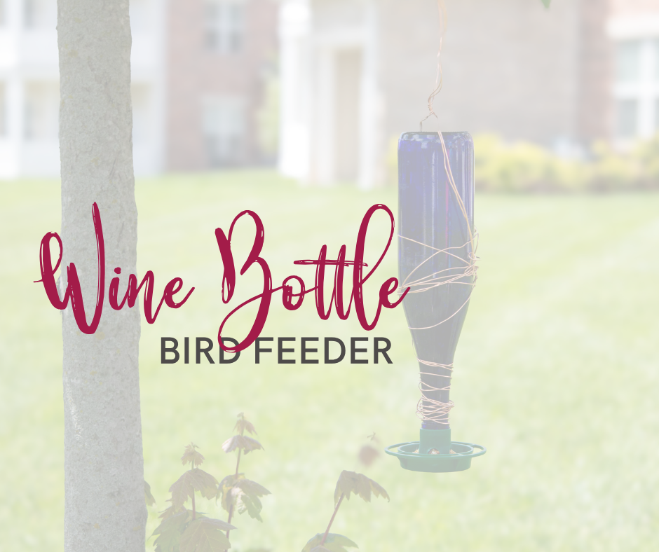 Wine Bottle Bird Feeder