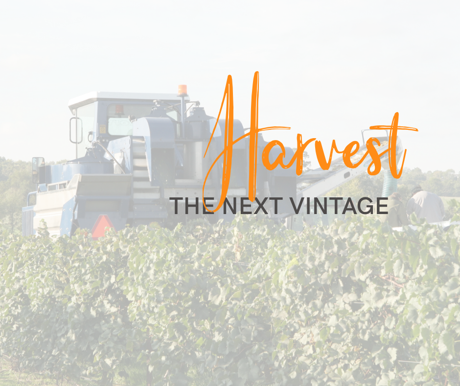 Harvest the Next Vintage