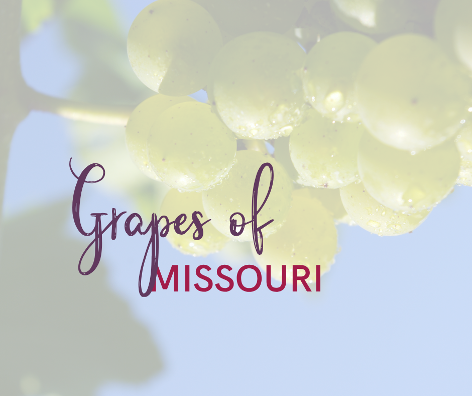 Grapes of Missouri