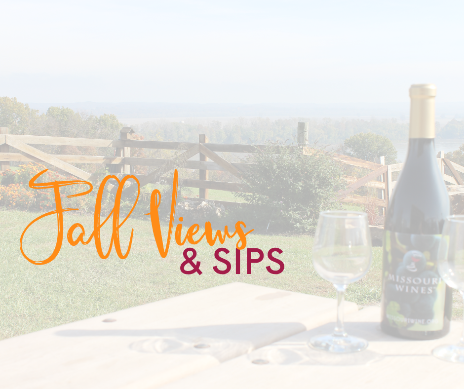 a bottle of wine sitting on the edge of a table with a wine glass with a fence in the background where you can see the fall background in the sky with words over the top that read fall views and sips.