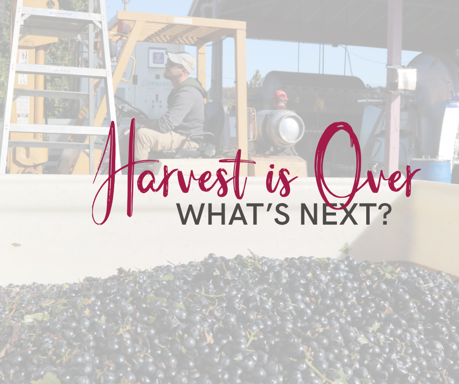 Harvest is Over: What's Next?