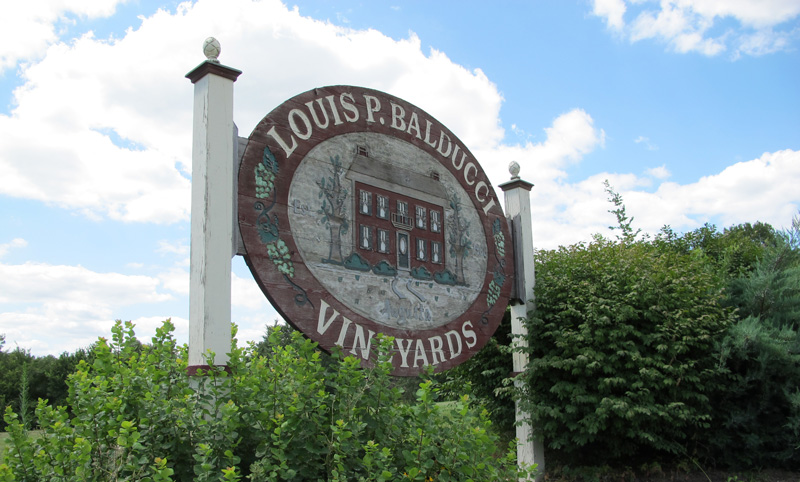 Balducci Vineyards- Entrance sign to the winery that reads "Louis P Balducci Vineyards".