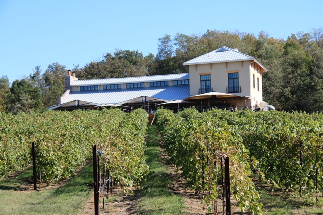 Chandler Hill Vineyards - outdoor photo, daytime, of several rows of grapevines. A large building is visible in the background.