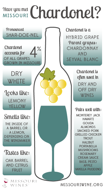 Chardonel Infographic 