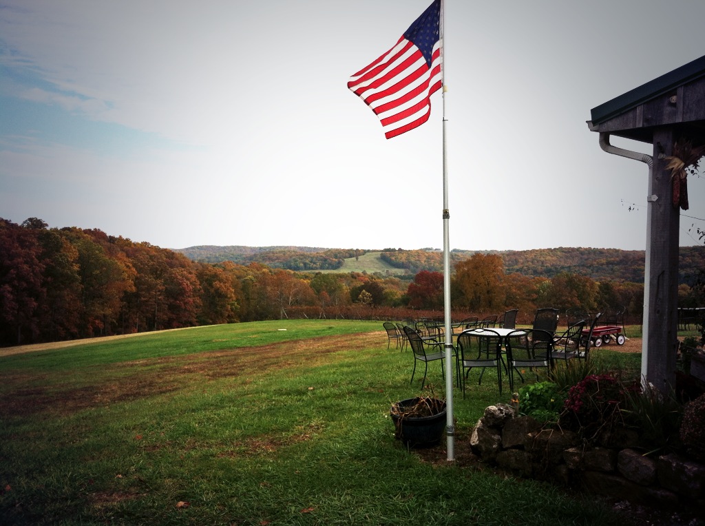 Charleville Vineyard Winery & Craft Brewery - outdoor photo, daytime, of a flagpole with a United States flag, near an outdoor patio on a large hill with trees and open sky in the background.