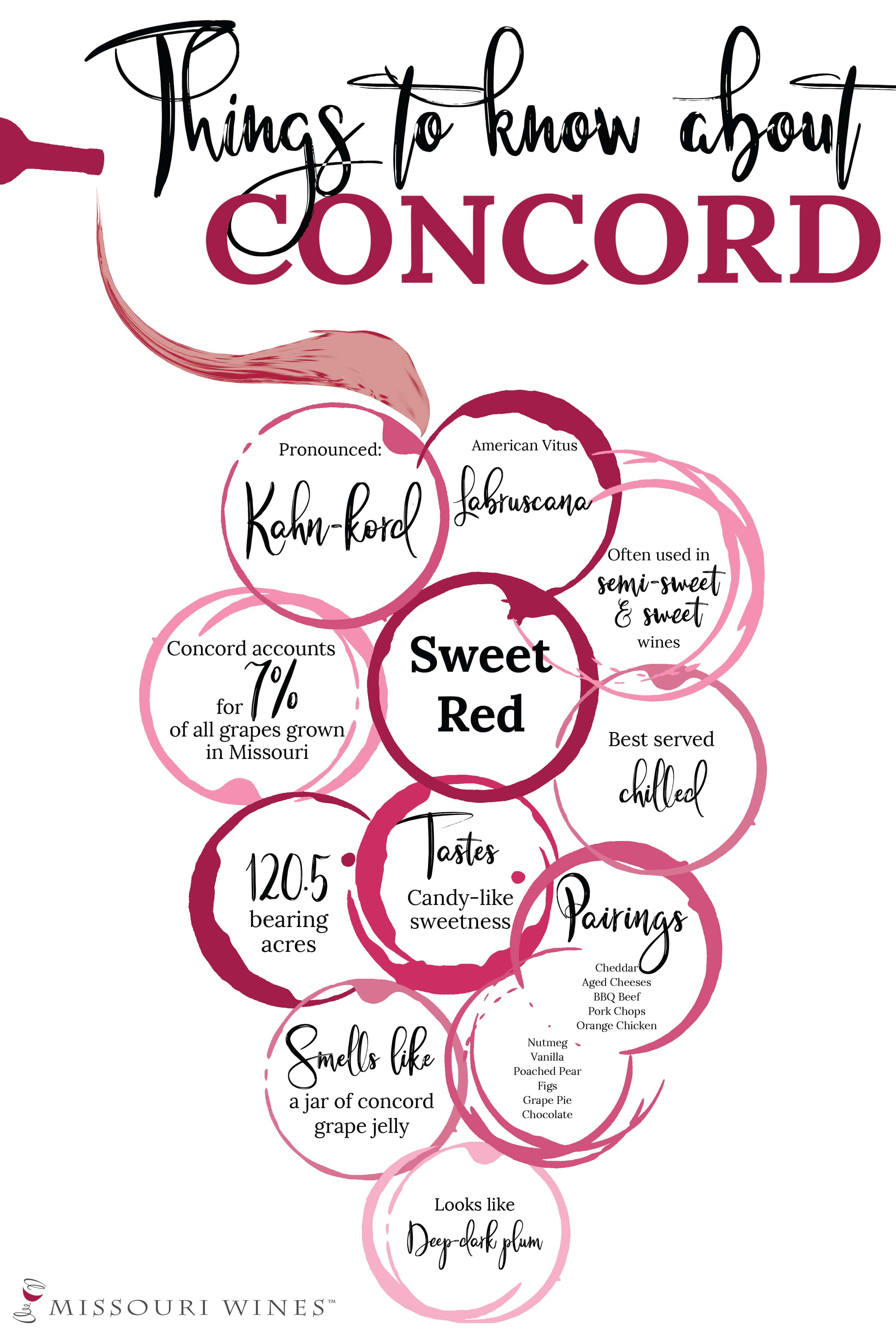 Things to Know About Concord