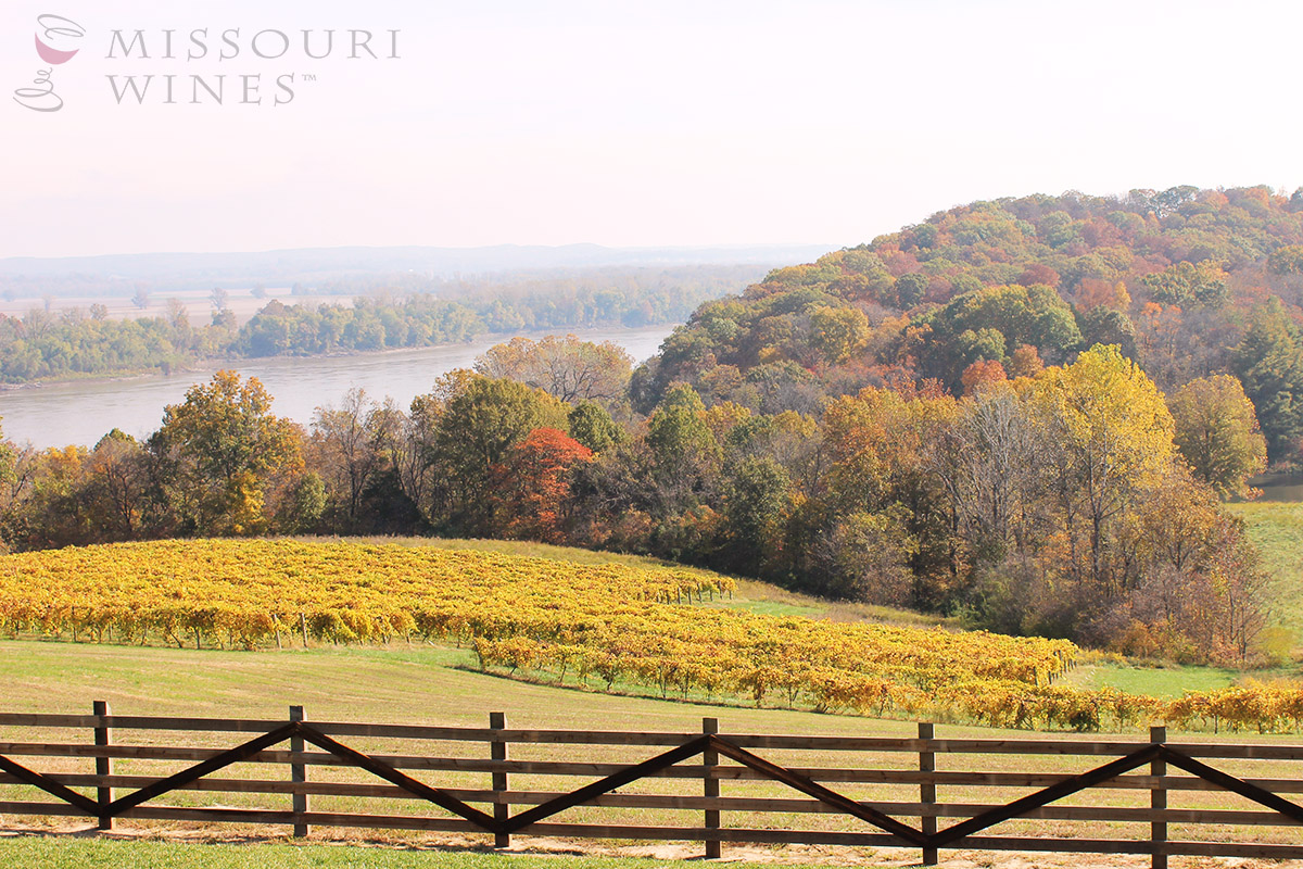 The Best Fall Views Are in MO Wine Country 