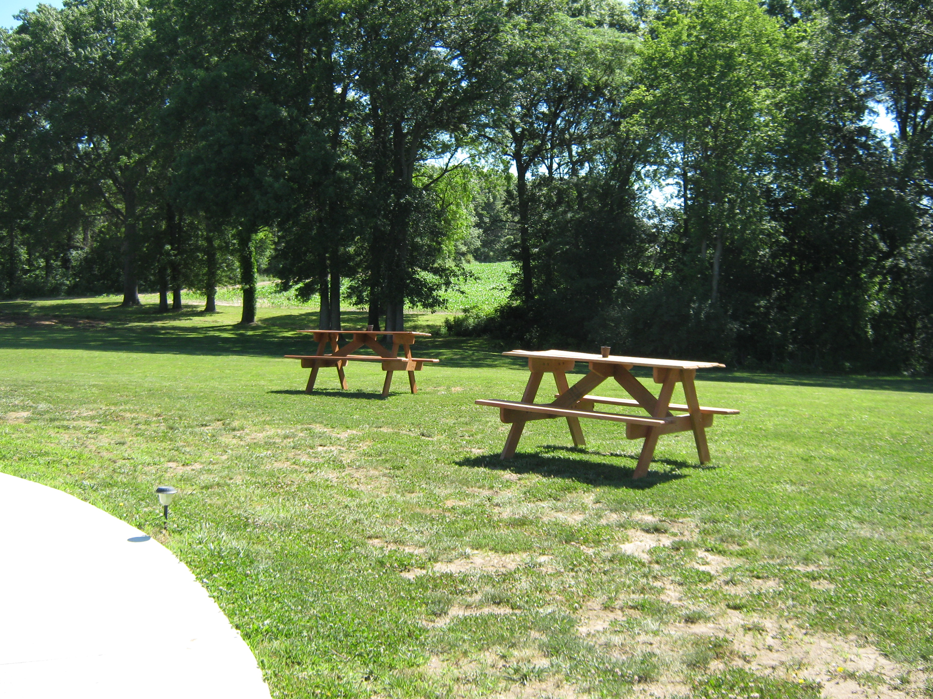 Hummingbird Vineyard and Winery- Two picnic tables sitting on green grass.