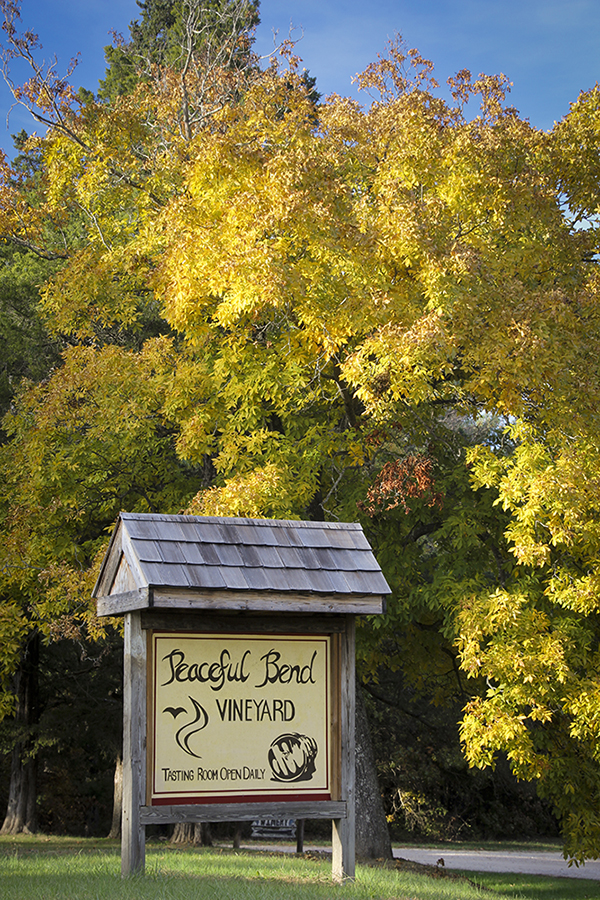 Peaceful Bend Vineyard- Outdoor vineyard sign that reads "Peaceful Bend Vineyard, tasting room open daily"