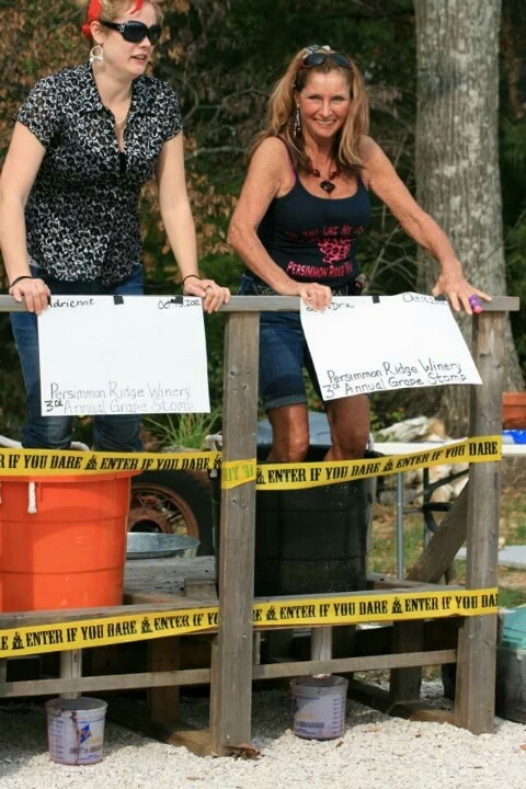 Persimmon Ridge Vineyards Winery LLC - outdoor photo, daytime, two women standing in buckets on a patio performing a grape stomping task