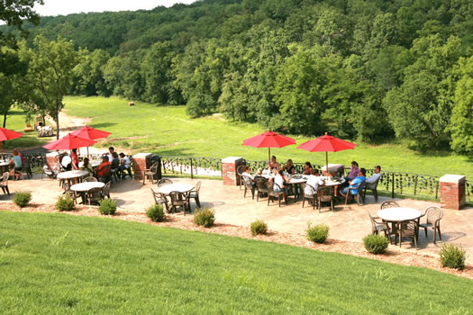 Seven Springs Winery - outdoor photo, daytime, of a large patio area with tables, chairs, and umbrellas. A wooded area is in the background.