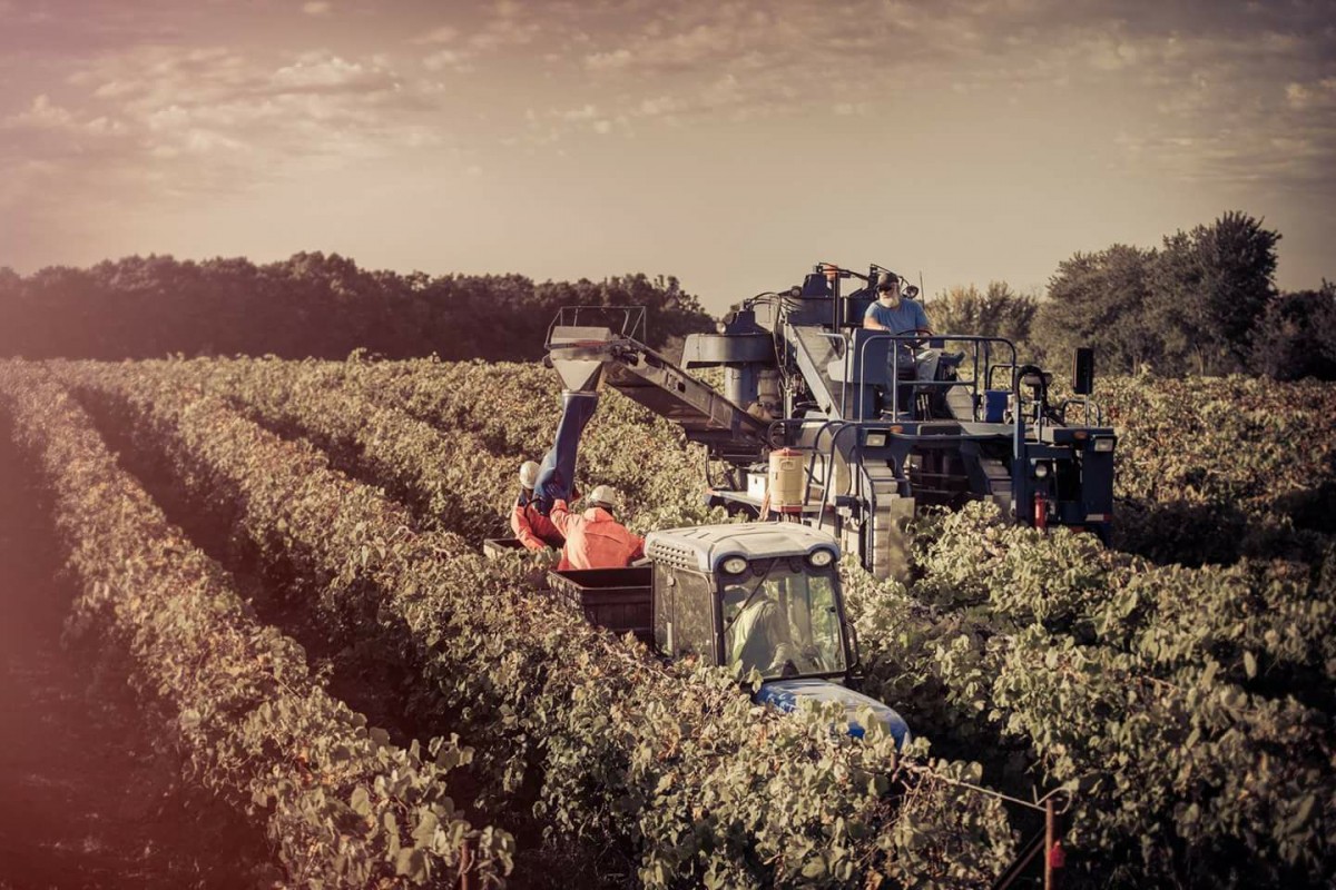 Missouri’s 2017 Harvest