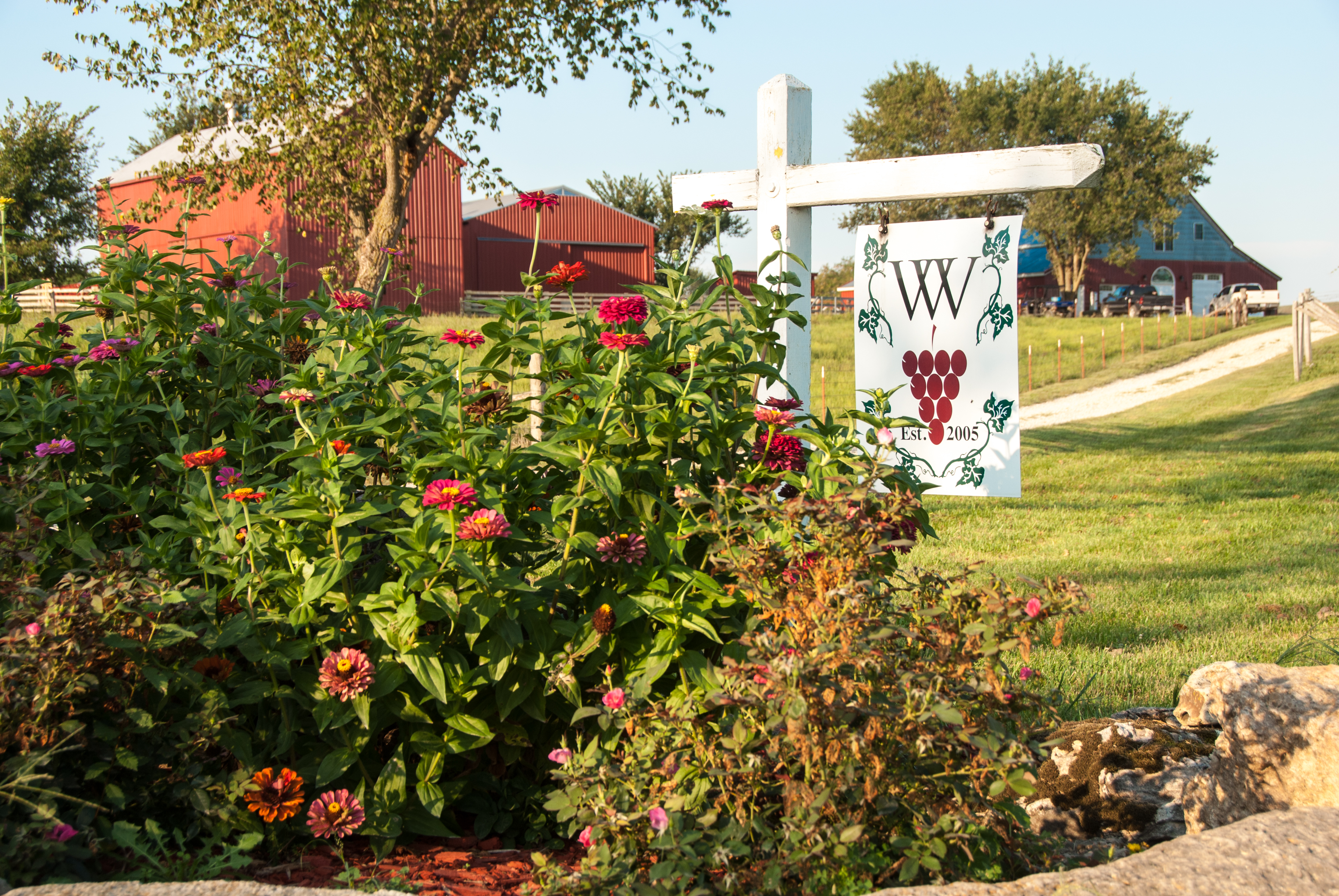 Westphalia Vineyards- A bed of flower bushes with the winery sign.