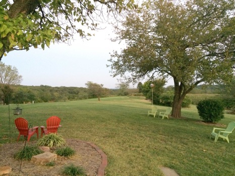 Wild Sun Winery - Green field with outdoor chairs and bird feeders handing from the trees. The chairs are red and light green.