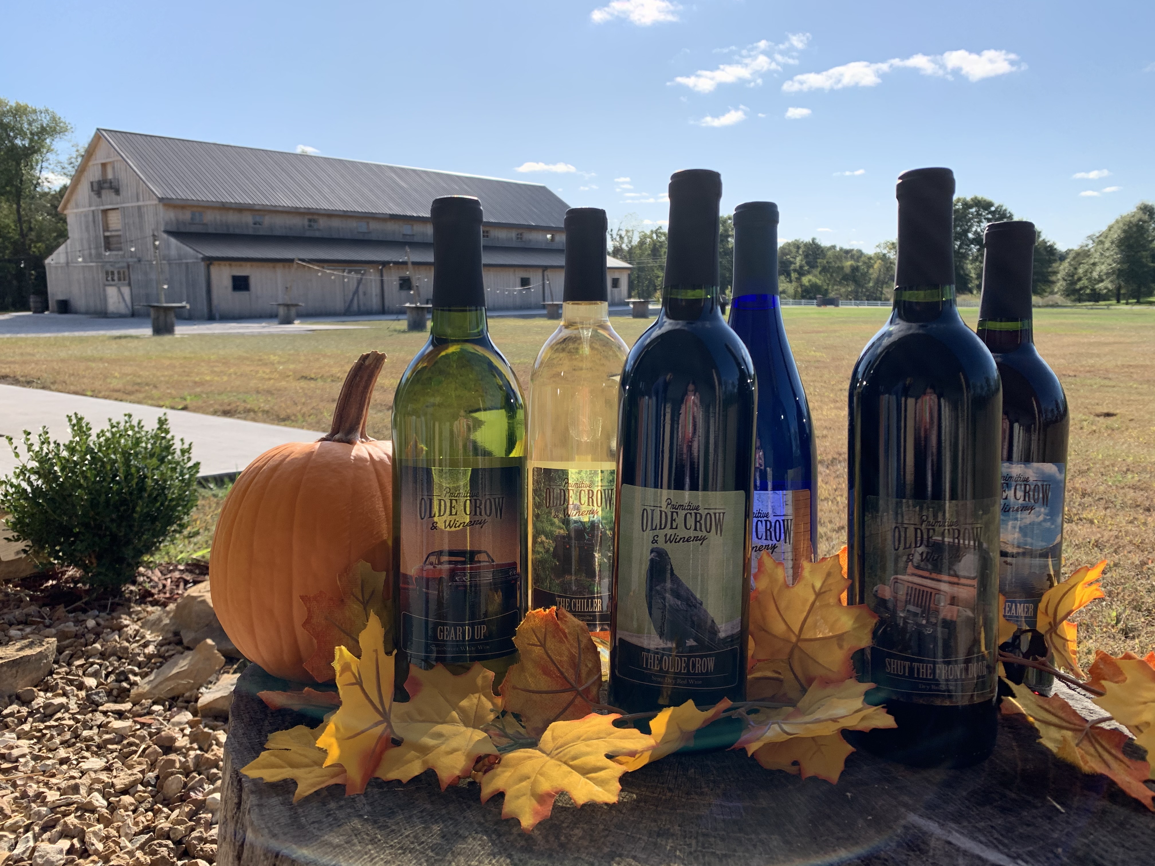 Primitive Olde Crow and Winery- Six bottles of wine outdoors on a table with fall leaves in front of the winery.