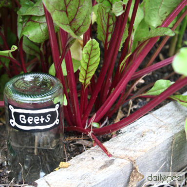 7 Ways to DIY in the Garden with Wine | Bottle Plant Markers