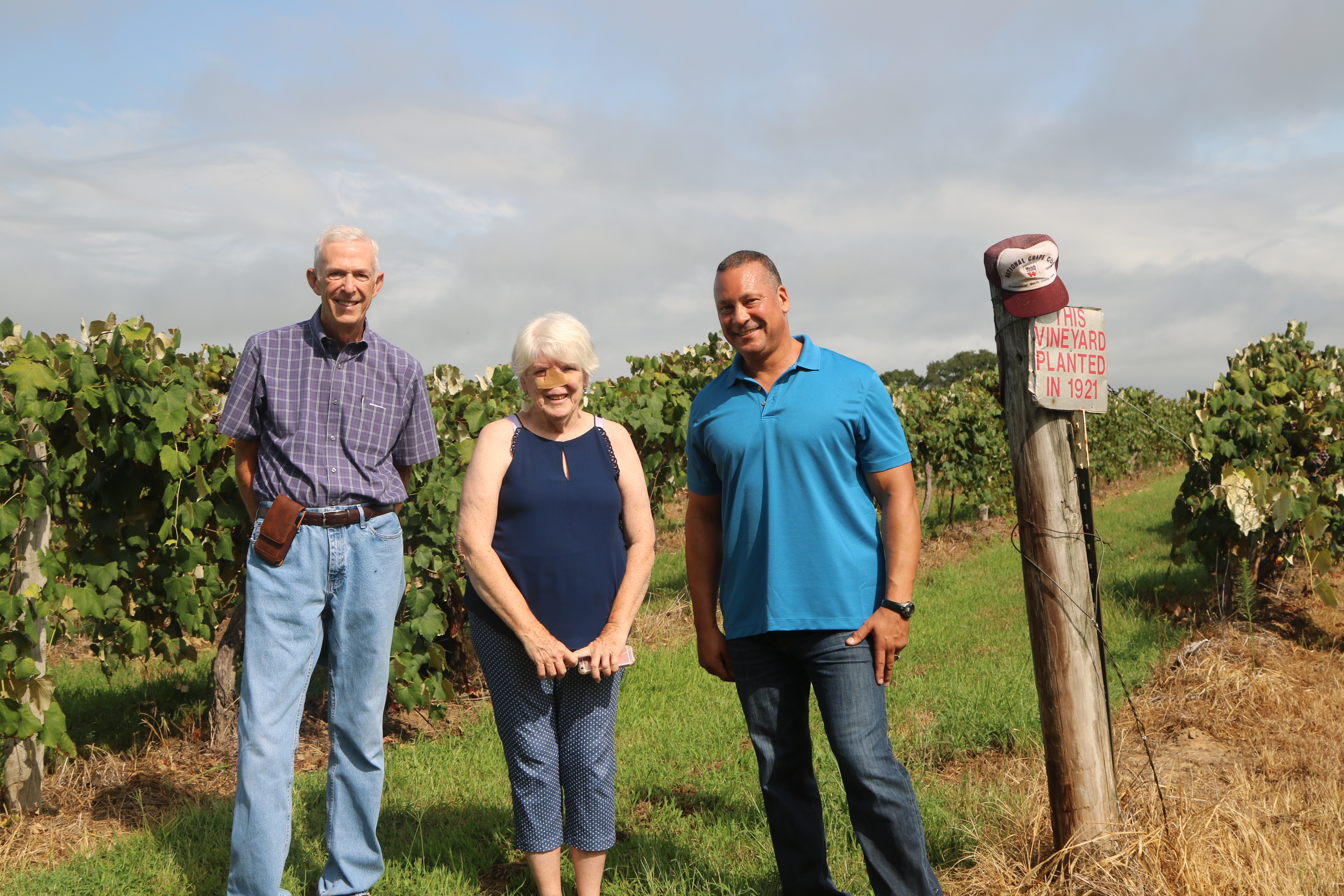 Vineyard in St. James celebrates centennial 