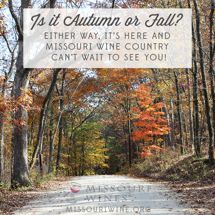 Fall is here (or is it Autumn?) in MO wine country!