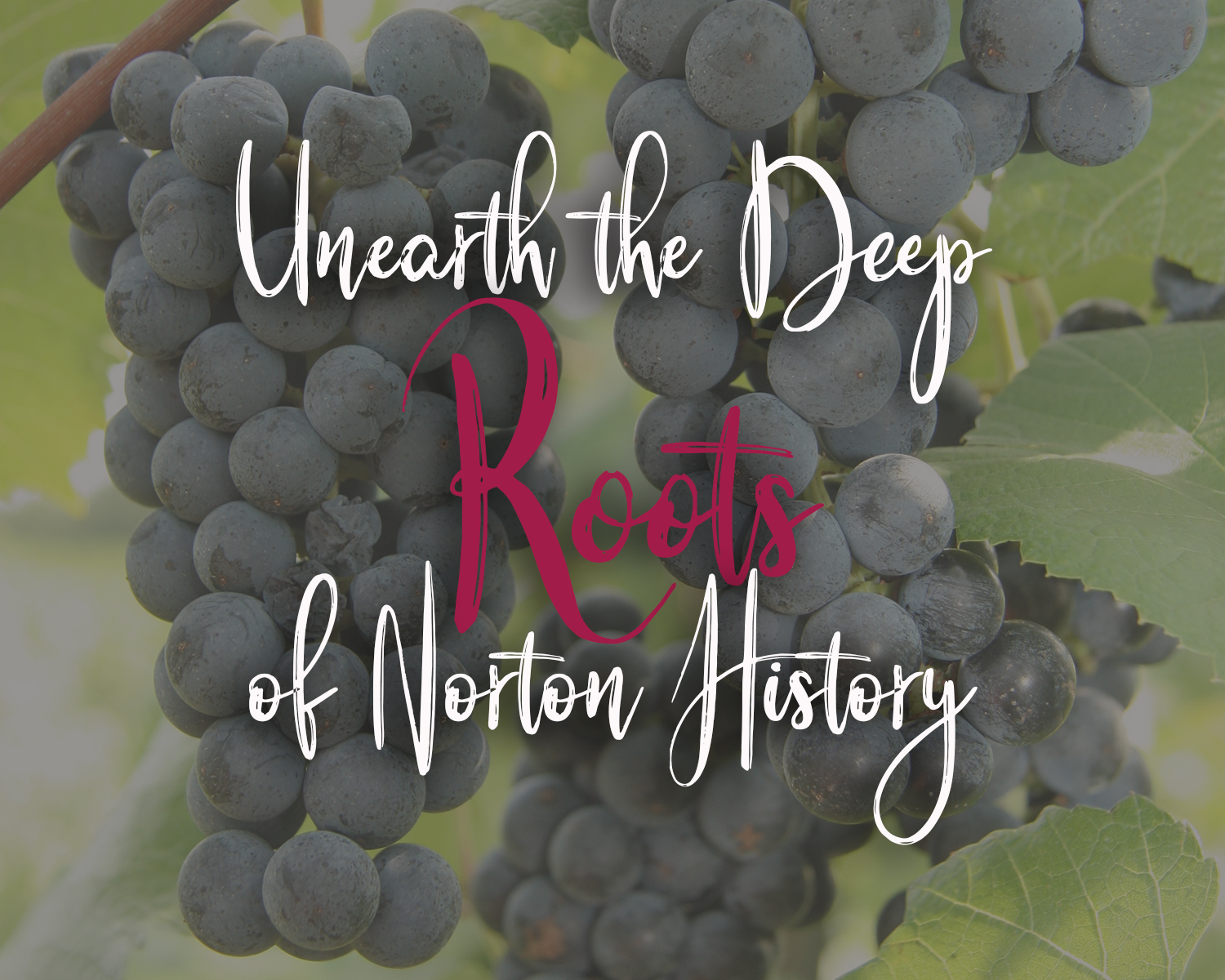 Unearth the Deep Roots of Norton History