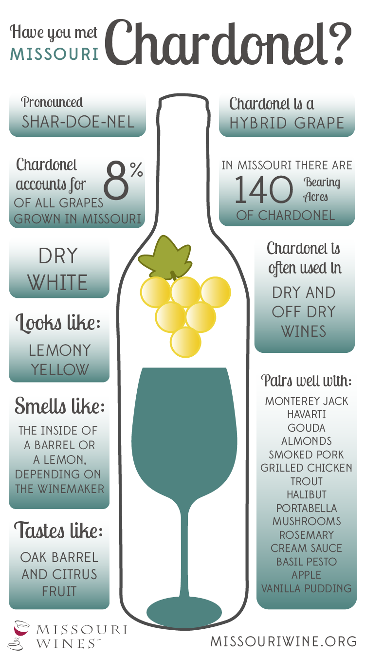 Chardonel: Missouri’s Classic White Wine 