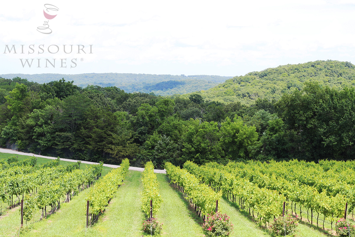 Head to Wine Country for the Weekend MO Wine