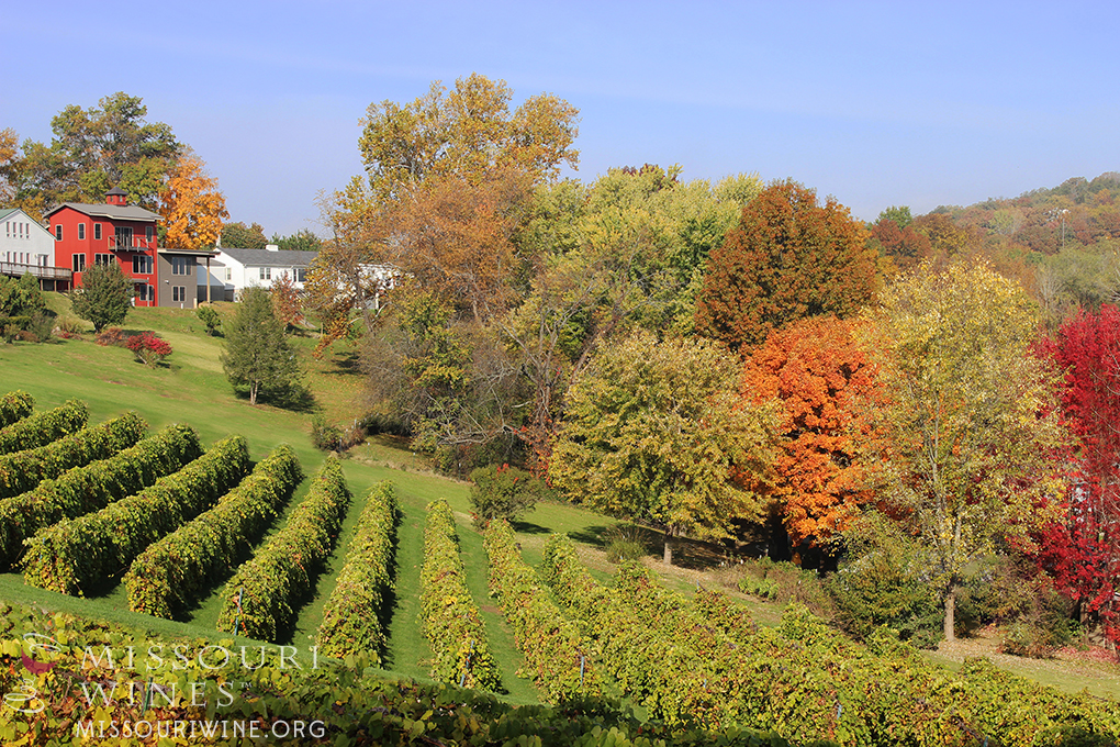 Fall in MO Wine Country Bucket List