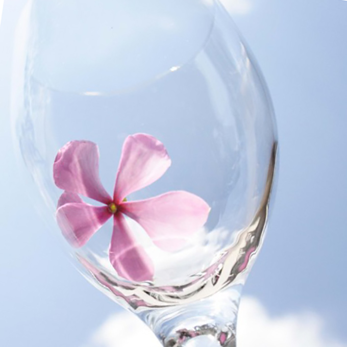 April Showers Bring May Flowers: Floral Aromas in Missouri Wine