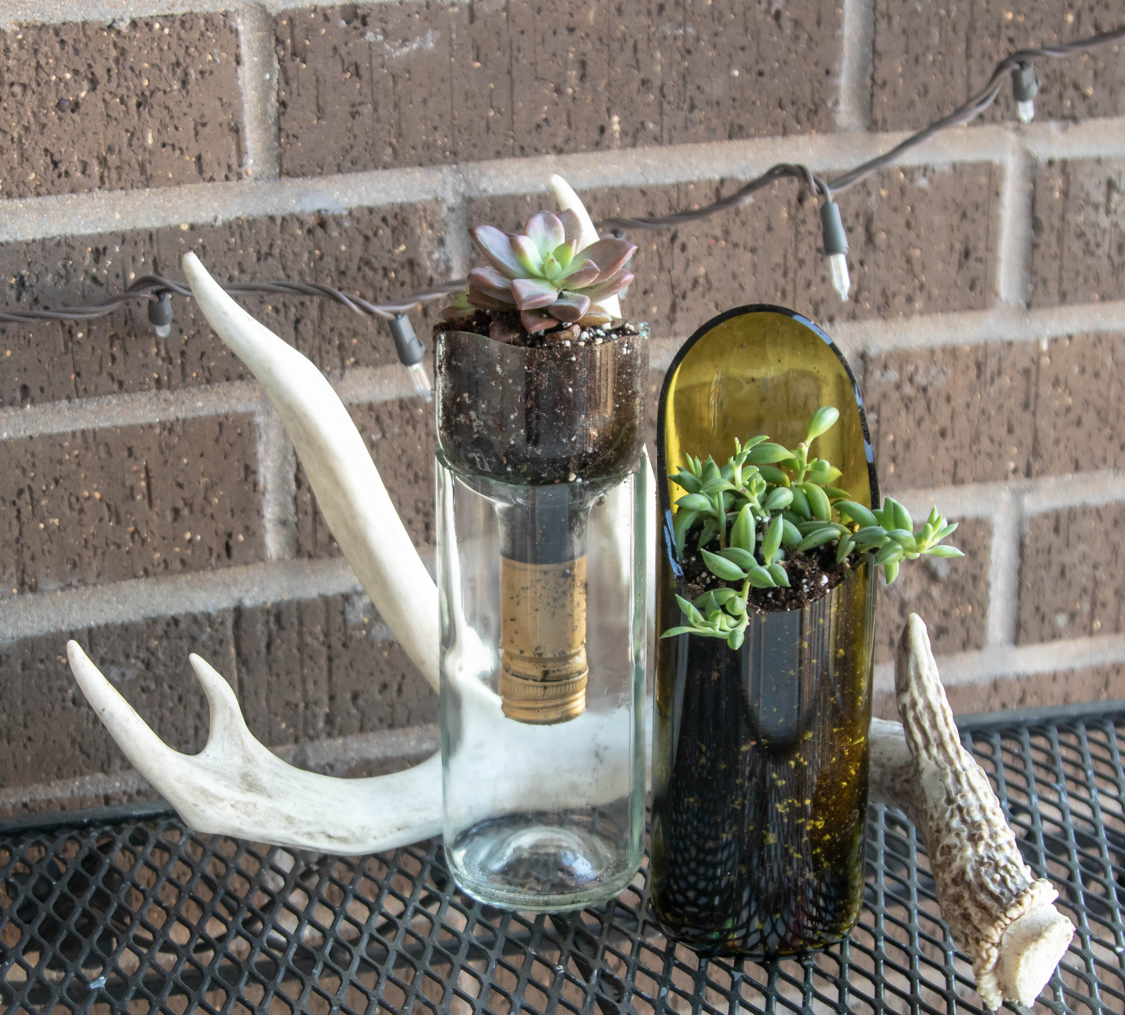 DIY Wine Bottle Succulent Planter